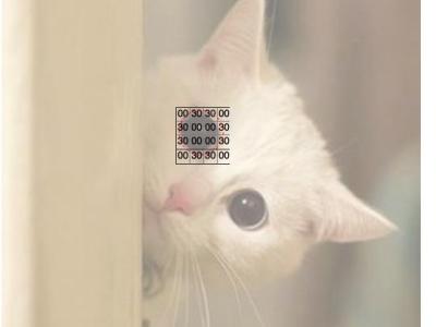 How Image Recognition&nbsp;Works