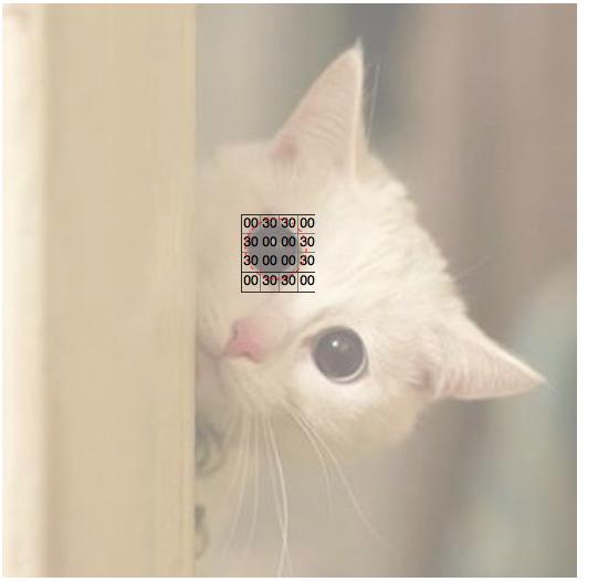 How Image Recognition&nbsp;Works