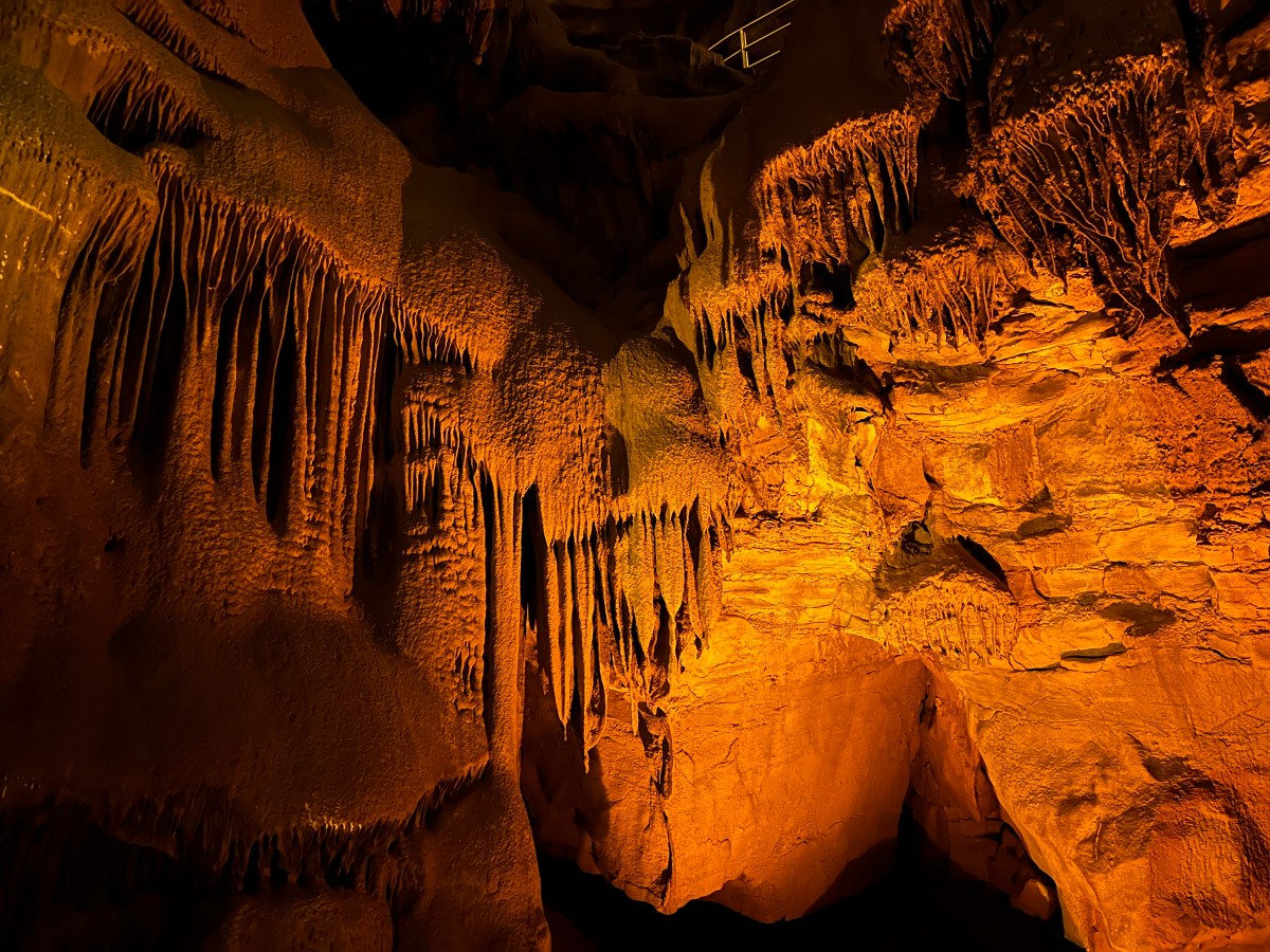 探索猛犸洞穴 Mammoth Cave |&nbsp;世界最长洞穴
